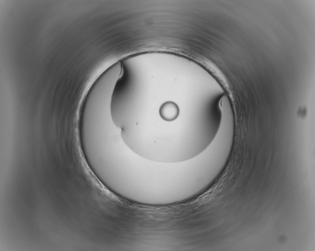X0000096431096200802211141