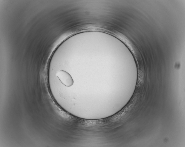 X0000096431098200802211141