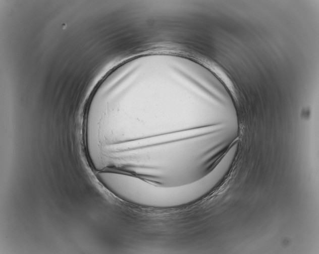 X0000096431099200802211141