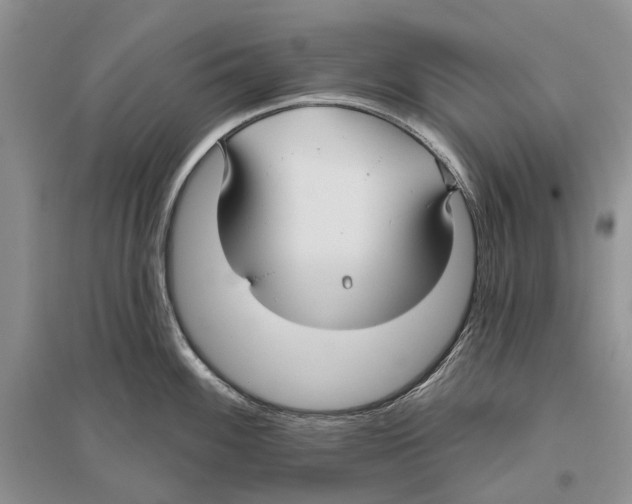 X0000096431100200802211141