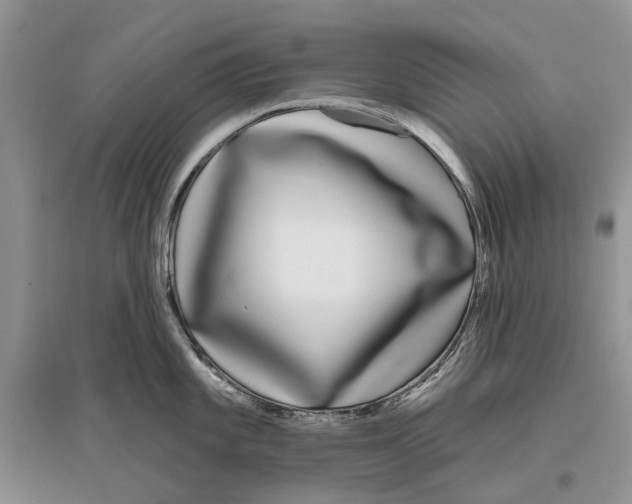 X0000096431101200802211141