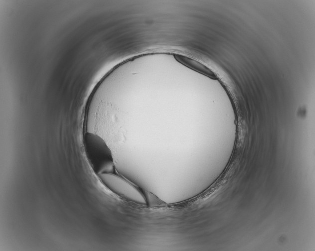 X0000096431102200802211141