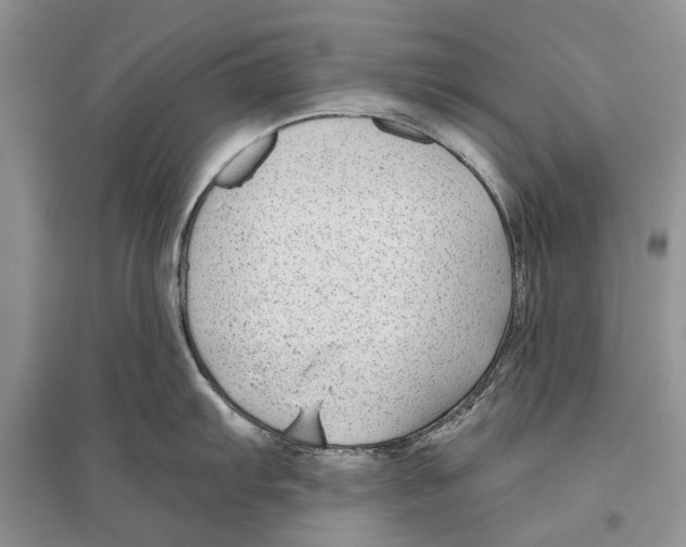 X0000096431103200802211141