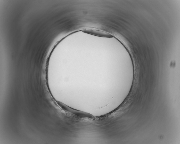 X0000096431104200802211141