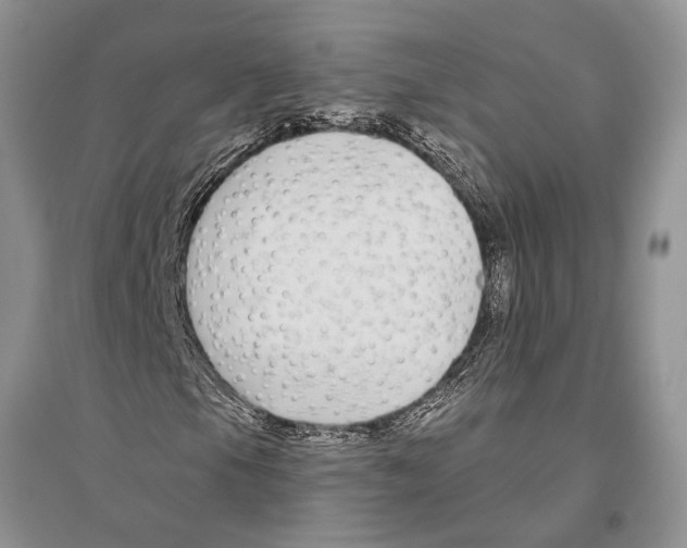 X0000096431105200802211140
