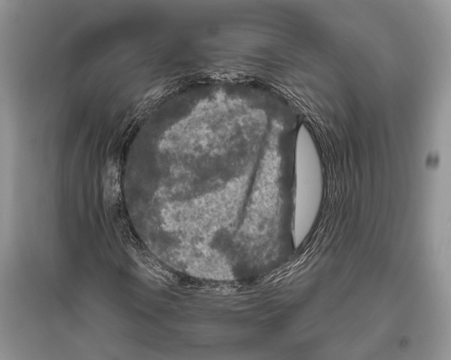 X0000096431106200802211140