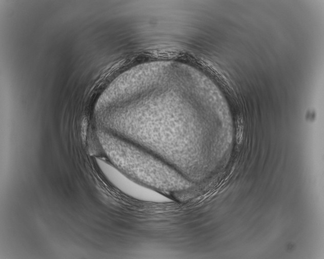X0000096431108200802211140