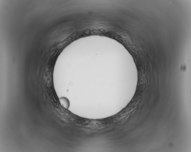 X0000096431109200802211140