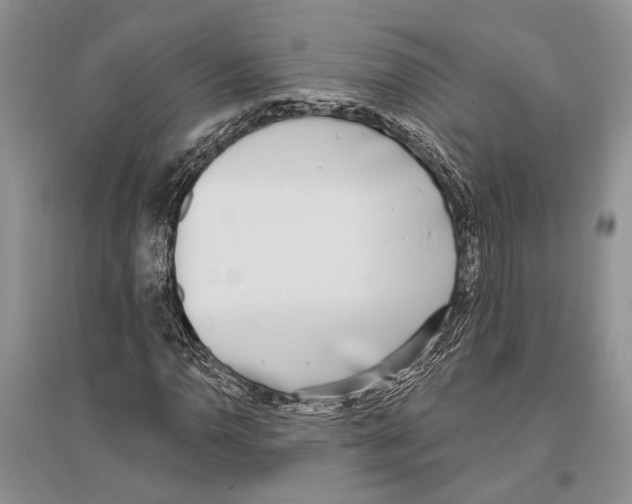 X0000096431110200802211140