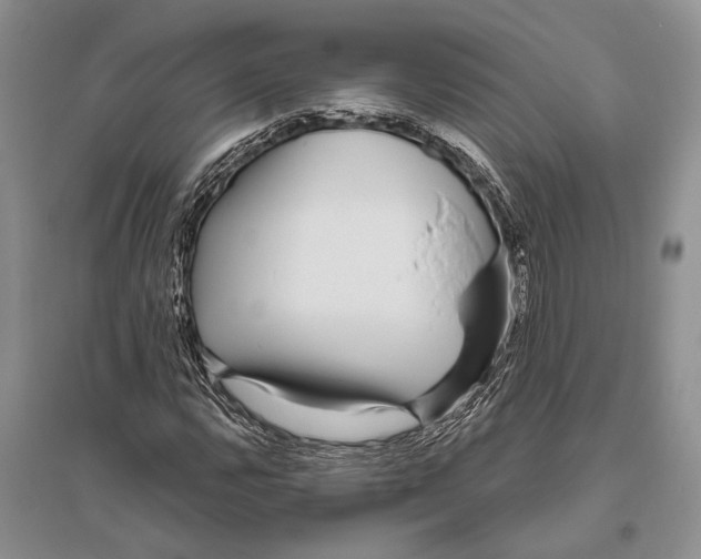 X0000096431112200802211140