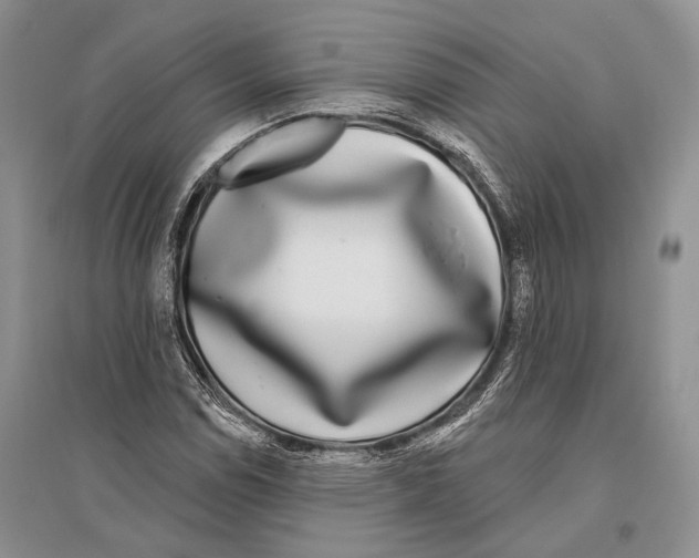 X0000096431114200802211140
