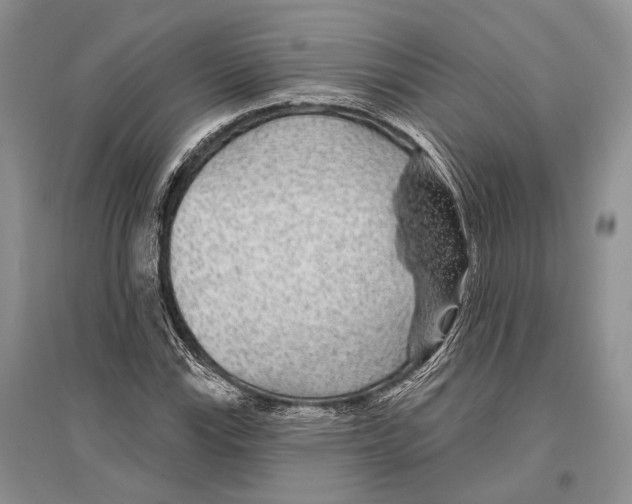 X0000096431115200802211140