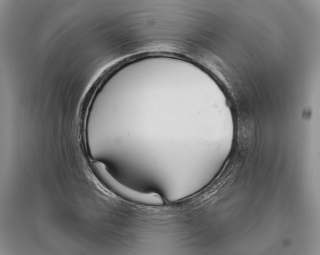 X0000096431116200802211140