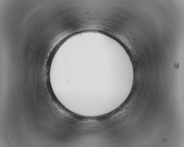 X0000096431119200802211140