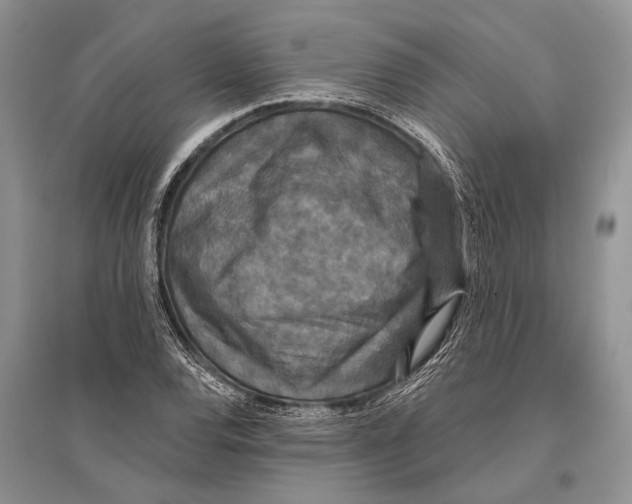 X0000096431120200802211140