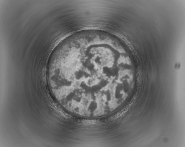 X0000096431121200802211140