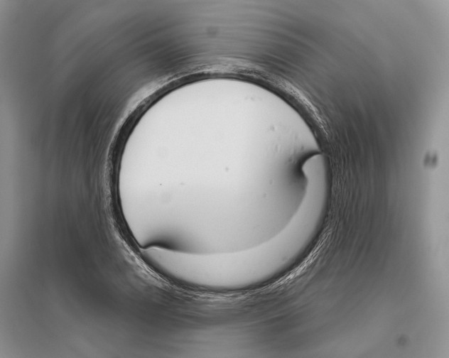 X0000096431122200802211140