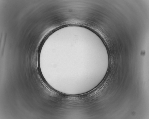 X0000096431123200802211140