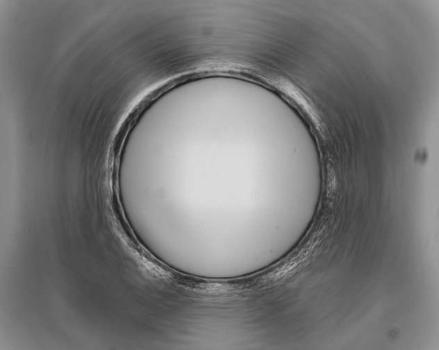 X0000096431124200802211140