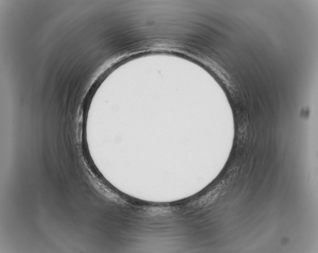 X0000096431126200802211140