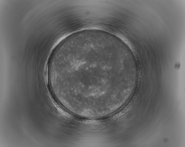 X0000096431127200802211140