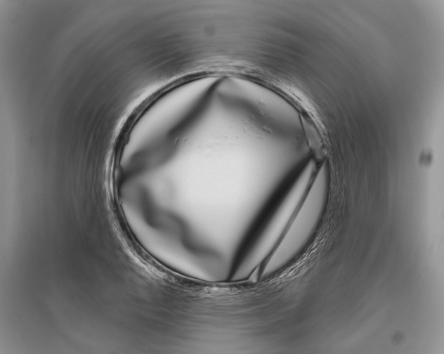 X0000096431128200802211140