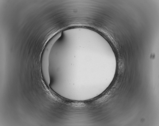 X0000096431129200802211140