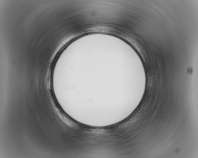 X0000096431131200802211140