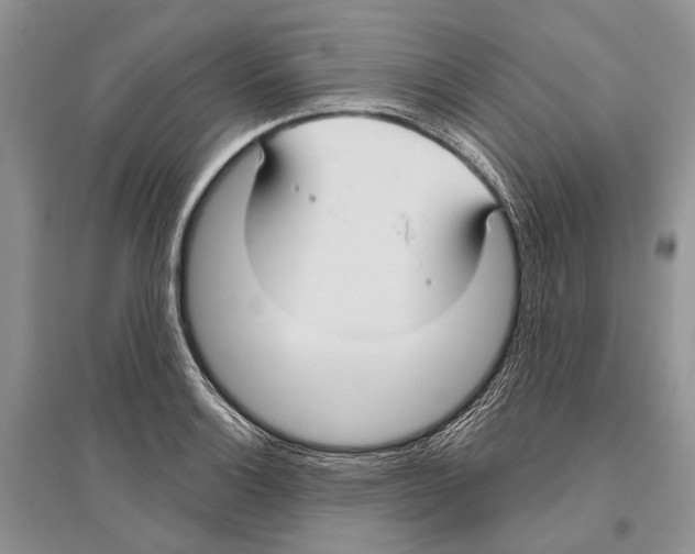 X0000096431132200802211140