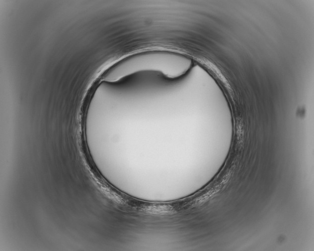 X0000096431133200802211140