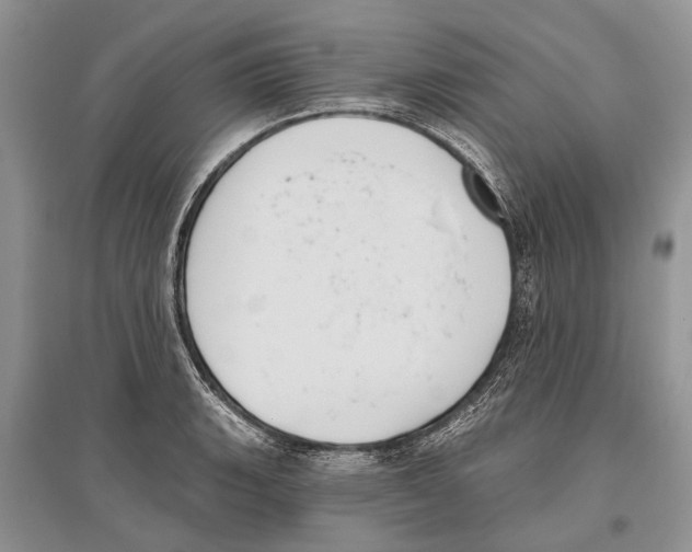 X0000096431135200802211140