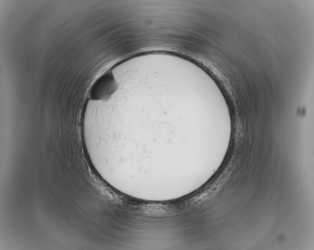 X0000096431137200802211140