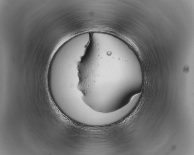 X0000096431138200802211140