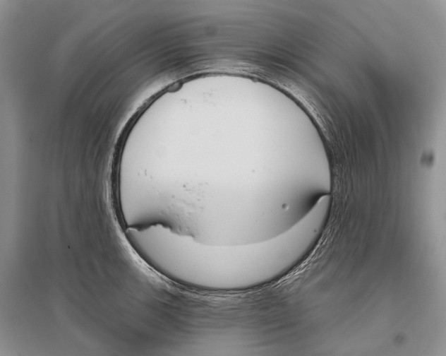 X0000096431139200802211140