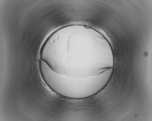 X0000096431140200802211140