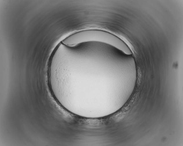 X0000096431142200802211141