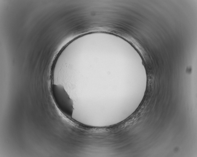 X0000096431143200802211141