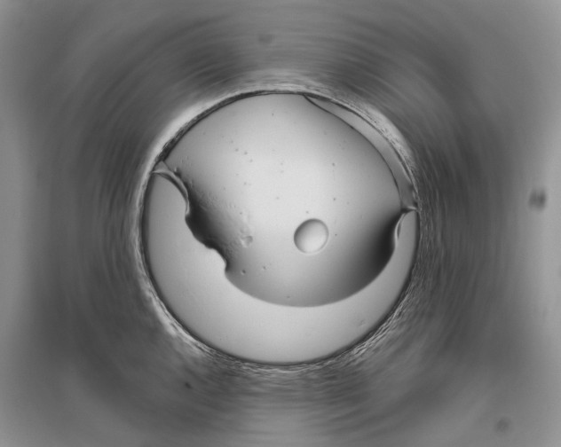 X0000096431144200802211141