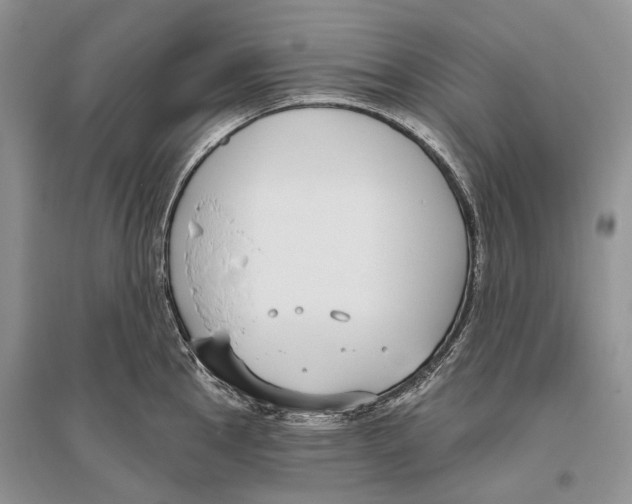 X0000096431145200802211141