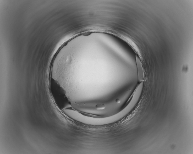X0000096431146200802211141