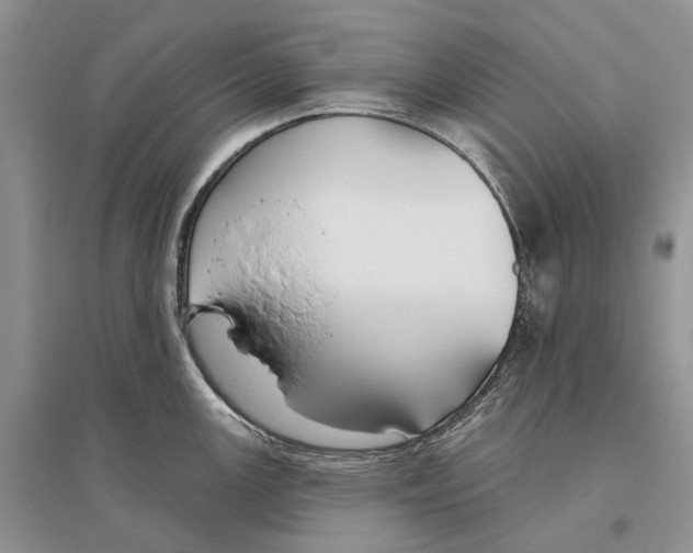 X0000096431147200802211141