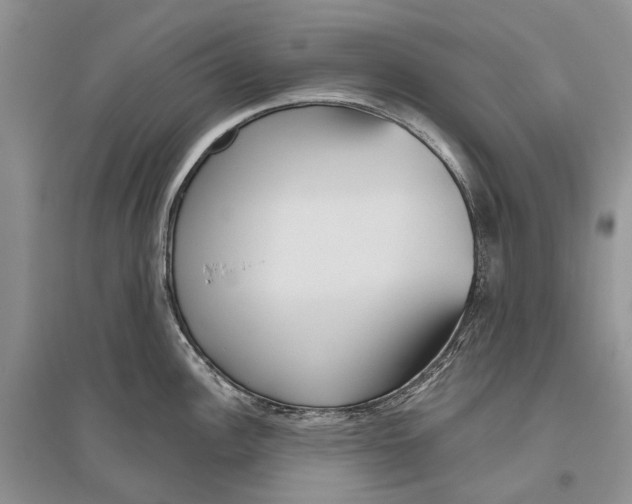 X0000096431148200802211141