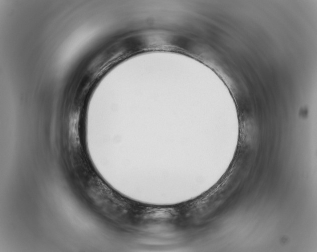 X0000096431150200802211141