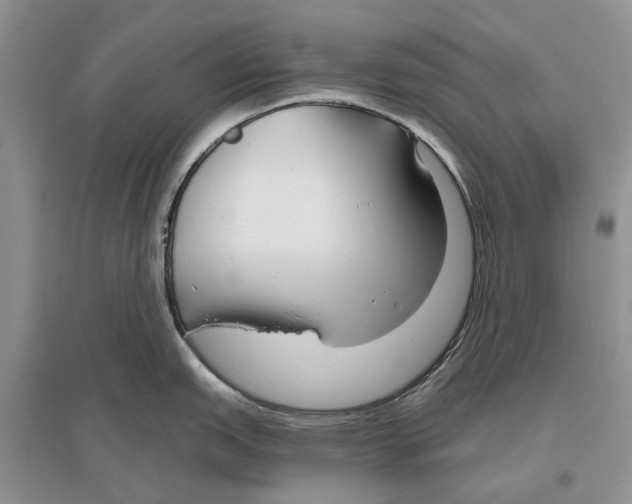 X0000096431151200802211141