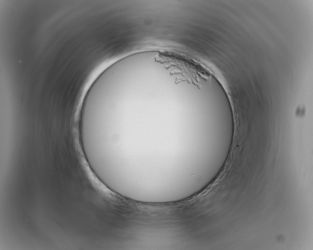 X0000096431152200802211141