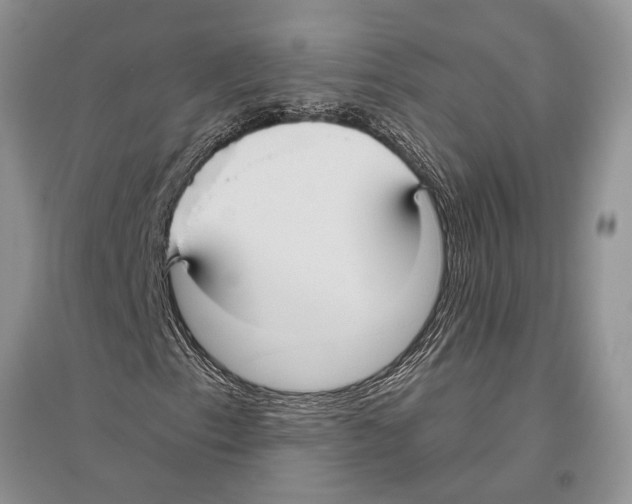 X0000096431153200802211140