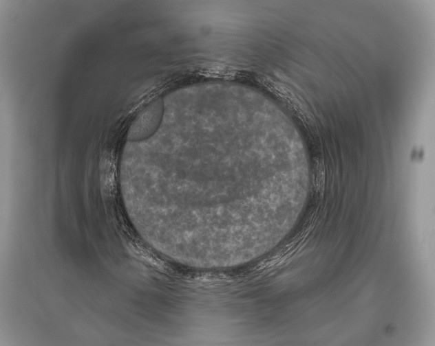 X0000096431154200802211140