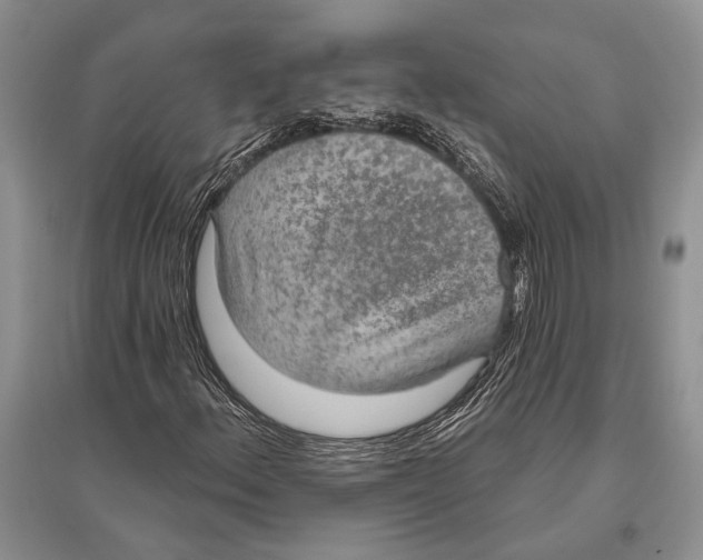 X0000096431156200802211140