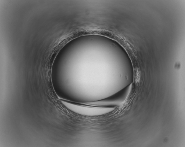 X0000096431157200802211140