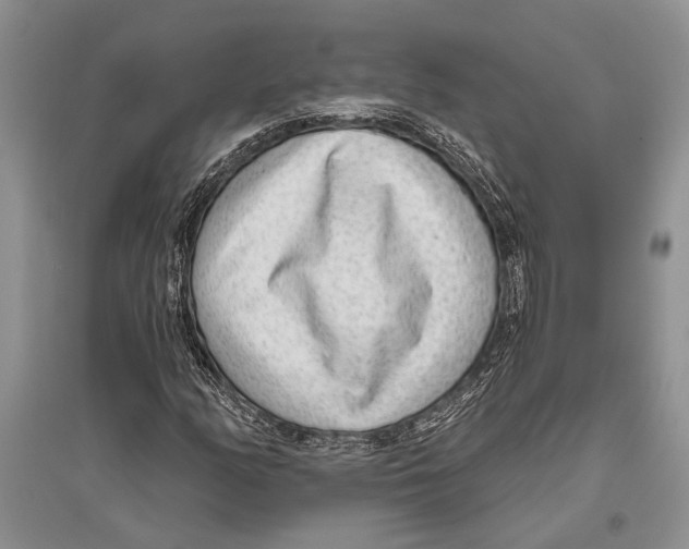 X0000096431158200802211140